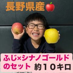 【送料無料】長野県産　ふじ×シナノゴールドのセット　約１０キロ