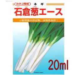 カネコ種苗　石倉葱エース　２０ｍｌ