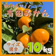 フルーツ村 EASTBEE フルーツカクテル 840g ( 固形量500g / 黄桃 / 洋梨
