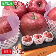【12月初旬から順次ご発送】安心の自社検品でお届け ギフト 贈答用 送料無料 青森県 青森 サンふじ ふじりんご 3玉 りんご 蜜いり りんご 蜜入りりんご 国産 国産りんご 青森りんご