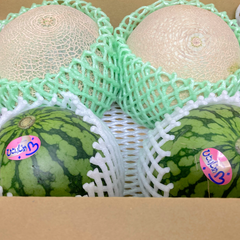 【選果落ち 訳あり商品】 熊本県産 小玉青肉メロン2玉＆小玉西瓜 Mサイズ 2玉 合計約4.3㎏ 【002】規格外 家庭用 贈答不可 加工用 すいか スイカ めろん 発送予定日 ６月初旬
