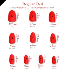 アミーゴ様専用　モチーフネイル　叡智会場予約