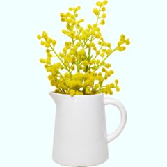 【特価商品】ケーアイジャパン(Kijapan) インテリアグリーン 造花 観葉植物 光触媒 フェイクグリーン ミモザ かわいい ピッチャーポット入り 高さ25cm