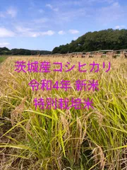 2025年最新】コシヒカリ 令和4年の人気アイテム - メルカリ