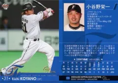 日本製 NIKE ナイキ オーダー プロ支給品 ファイターズ 小谷野栄一 日本製 NIKE ナイキ オーダー プロ支給品 ファイターズ 小谷野栄一