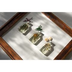BOTANICAL BOTTLES リードディフューザー 180ml