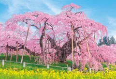 藤城清治・レググラフ版画 「三春の滝桜」(2009) エディション/額装なし 昭和レトロ 藤城清治 三春の滝桜 影絵集 フィルム プリント画