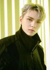 【中古】コレクションカード(男性) 25：SEVENTEEN/VERNON(バーノン)/「SEVENTEEN TOUR ’FOLLOW’ TO JAPAN」フォトカード