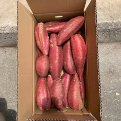 終盤　一年熟成極甘シルクスイート　箱こみ4.8キロ　2Lから Mサイズ　さつまいものサムネイル