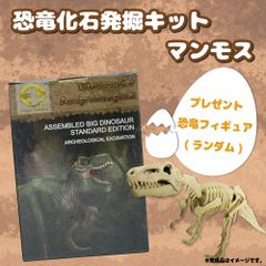 恐竜化石発掘キット 恐竜化石発掘セット マンモス 知育玩具 おもちゃ