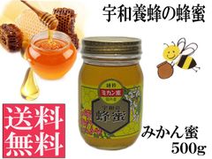 みかん蜜500g 非加熱 生はちみつ 国産 純粋 送料無料