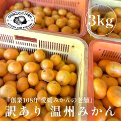 愛媛県産 訳あり みかん 3kg【送料無料】農家直送 創業108年 新口農園「予約商品：11月上旬より順次発送」
