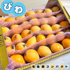 福岡県産 無農薬 訳ありびわ 宅急便コンパクトいっぱい