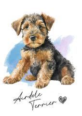 ポストカード【 Airedale Terrier / エアデール・テリア 】イラスト アート 水彩画風 パステルカラー はがき -1