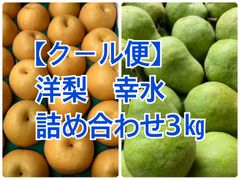【クール便】豊水梨　洋梨　詰め合わせ　3キロ