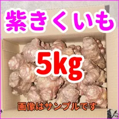 2026年最新】紫菊芋の人気アイテム - メルカリ