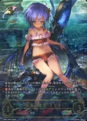 2025年最新】揺蕩う意志 スピネ SPの人気アイテム - メルカリ
