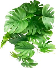 Item thumbnail for item ad43e74c-18ff-4d0c-9bff-866fc39b7891