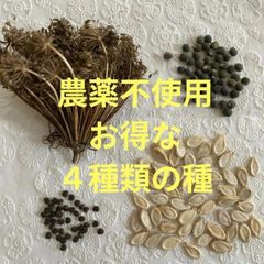 【お得な4種類の種】【農薬不使用】人参、オクラ、花オクラ、冬瓜