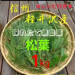 採れたて新鮮♪︎信州軽井沢産 天然赤松松葉 １kg松の葉レシピ付松葉ジュース