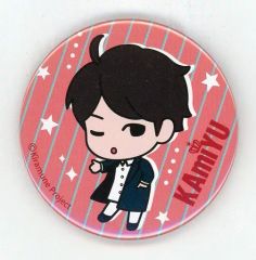[중고] 배지·핀즈(남성) 이리노 자유(윙크) 캔 배지 [Kiramune Presents KAmiYU in Wonderland 4]