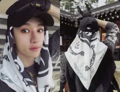 【中古】コレクションカード(男性) Stray Kids/Bang Chan(バンチャン)/CD「SKZHOP HIPTAPE ’合(HOP)’」(SKZHOP VER.)フォトカード