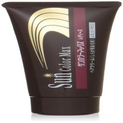 2個セットKenko サンカラーマックス レギュラーサイズ 75g ヘア