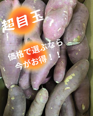 熟成紅はるか　濃厚で甘〜い！　大分産　10kg 紅はるか　今季終了間近！　大容量セール　　果物　旬のフルーツ 【大容量】さつまいも　甘い芋