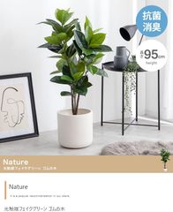 【高さ95cm】Nature 光触媒人工観葉植物 ゴムの木