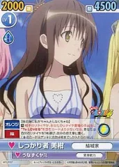 2025年最新】ヴィクトリースパーク 美柑の人気アイテム - メルカリ