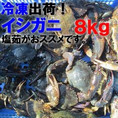 冷凍出荷 食用イシガニ 石蟹８kg 沖縄県配送不可 目安：約80杯 蟹 カニ　石蟹 蟹汁 「冷凍 食用イシガニ8ｋｇ」