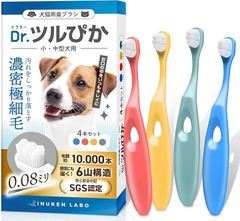 Item thumbnail for item c50a282b-a8f9-4bc3-9d50-1f43d66c8d2d