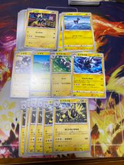 シママ ゼブライカ うしろげり ワイルドボルト サンダーアロー くわえる バチバチ はねまわる エレキック キック マッハボルト れんけいボルト スパークラッシュ はじけるいななき かみなり