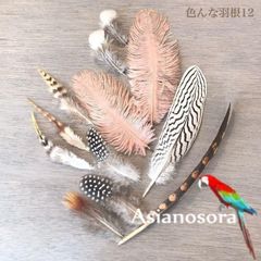 ◾️⭐︎【色んな羽根12】羽根 フェザー 鳥 パーツ 材料 アクセサリー インテリア