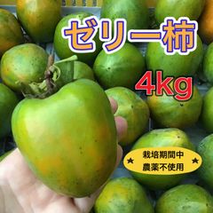 柿《ふるふるゼリー♪》愛媛県産