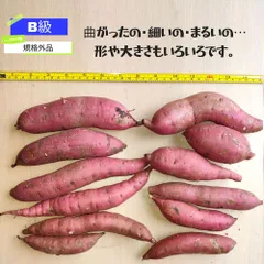 熟成済「紅はるか」B品家庭用3kg　焼き芋・ふかし芋に最適です。緑肥と残渣以外は施しておりません。のサムネイル
