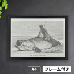 大英図書館1800年代資料のピラルク　モノクロアートポスターA4荒い麻布の風合い　A4 アートポスター【フレーム付】《AS》★再入荷★