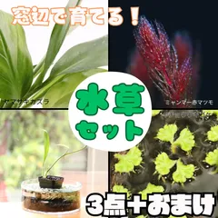 2025年最新】山崎美津夫の人気アイテム - メルカリ