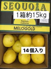 メロゴールド　木熟14玉入(特大  1箱約15kg)