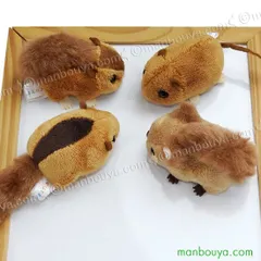 ぬいぐるみ リス ヤマネ ヤチネズミ シマリス マグネット キュート販売 CUTE 齧歯目 4種のサムネイル