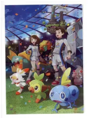 ポケモン ポケモンセンター THE GALAR POKEMON LEAGUE!! クリアファイル