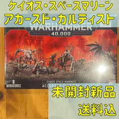 ケイオス・スペースマリーン】アカースド・カルティスト