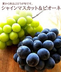 シャインマスカット 岡山県産種無しピオーネ お中元 暑中お見舞い 残暑お見舞い [シャイン＆ピオーネ] 冷蔵便 クール便