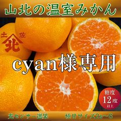 cyan様専用　山北温室ハウスみかん2kg✖️2箱ぐるりん