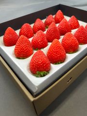 奇跡のいちご✴︎よつぼし贈答用箱450g