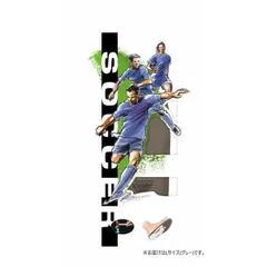 DSIS　ソルボサッカー　グレー　61653・L