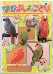 デスノート Vol.1 [窪田正孝／山崎賢人]｜中古DVD【中古