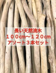 【送料無料】南信州産 天然流木 まがり屋流木 枝流木 【長い流木】（１００cm以上１２０cm未満） アソート【３本セット】まとめ売り セット販売淡水流木 川流木 流木格安販売 流木卸売