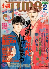 小説JUNE     1985～1990年17冊セット 小説JUNE 1985～1990年17冊セット