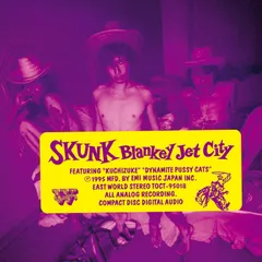 【Sublime】激レアskunkポスター(大サイズ) Skunk」 『SKUNK』 BLANKEY JET CITY 1995年 vinyl : 2025年 5枚